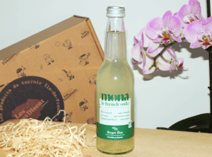 Ginger Beer Bio 33cl - mona